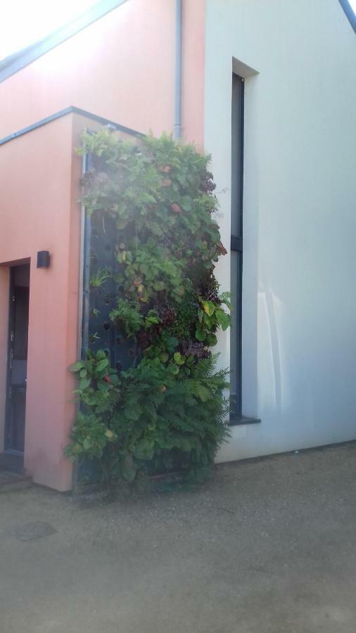 Maison Passive Et D'Architecte Treillieres Luaran gambar